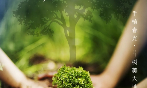 慧立康 | 植树节播种绿意 践行可持续发展